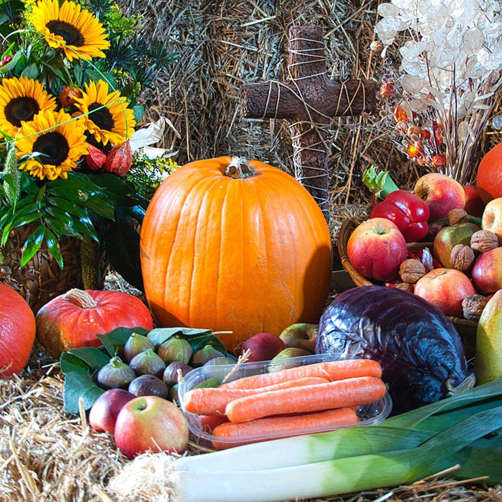 Kürbisse, Äpfel, Lauch Möhren, Sonnenblumen auf Strohballen wie an einem Altar drapiert