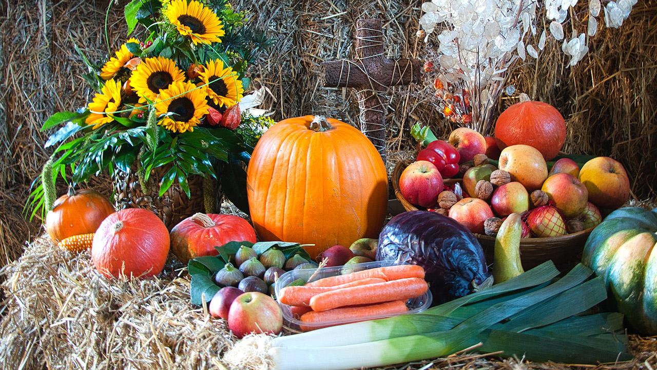 Kürbisse, Äpfel, Lauch Möhren, Sonnenblumen auf Strohballen wie an einem Altar drapiert