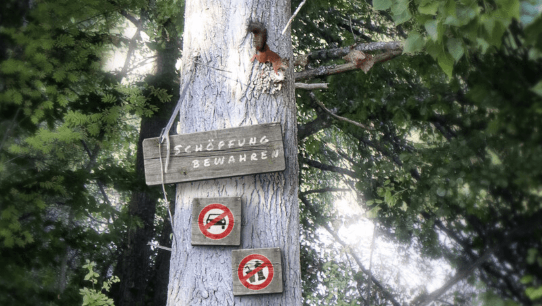 Baum_FUNDUS_Patrick-Theumer Teil eines Baumstammes im Wald. Auf diesem läuft ein Eichhörnchen. Zudem ist ein großes Schild angebracht: Schöpfung bewahren. Zwei kleinere Verbotsschilder hängen darunter: Keine Autos, keine Flaschen. Im Hintergrund ist ein Wald erkennbar.