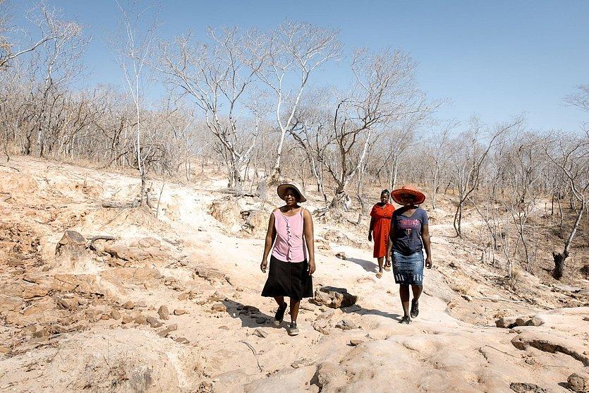 Brot für die Welt Simbabwe Projekt MeDRA Drei Frauen gehen in karger Landschaft.