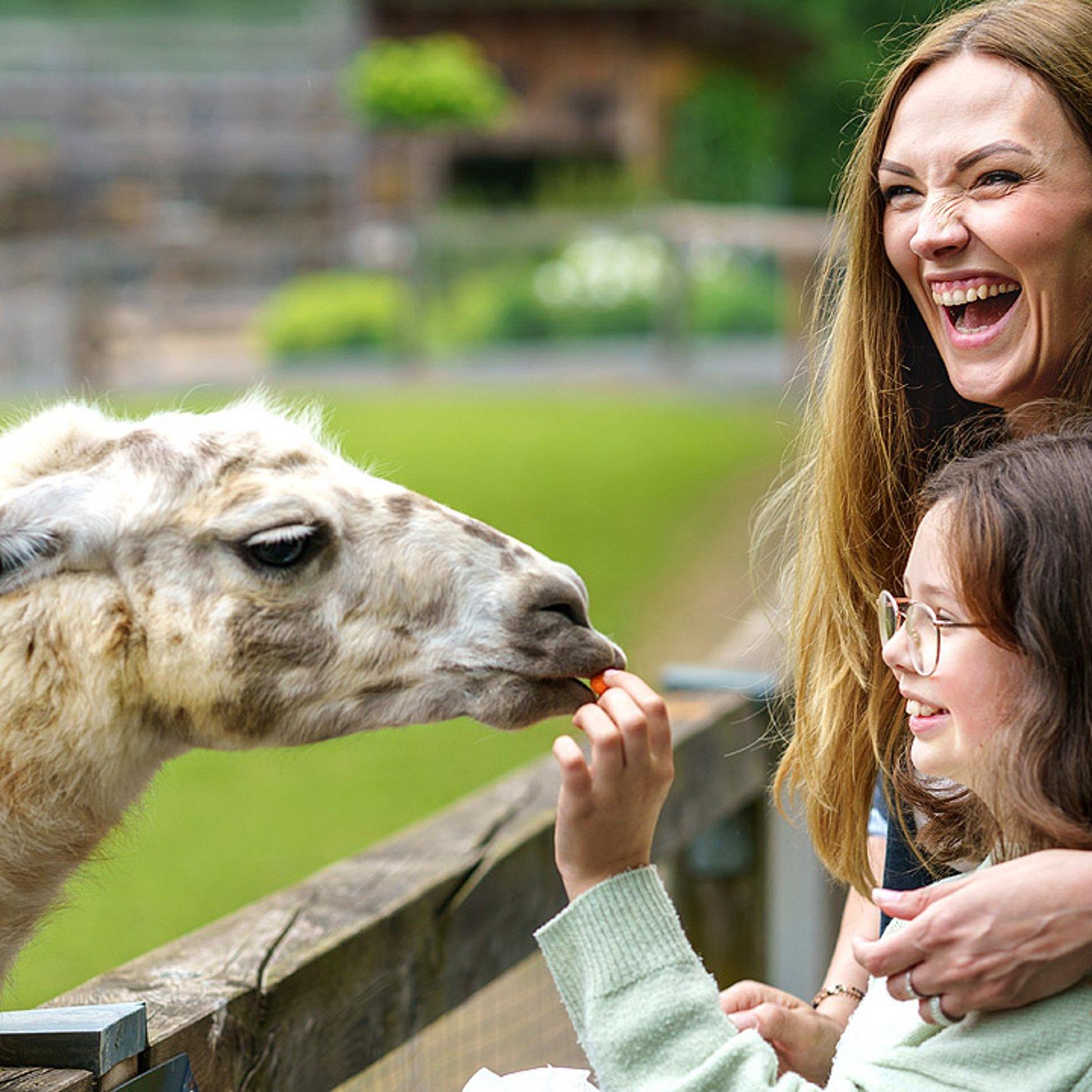 Patenschaft - Zoobesuch Patenschaft - Zoobesuch
