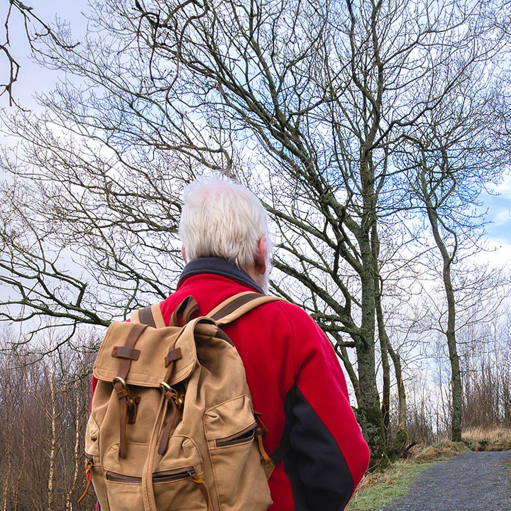 Lebensende Ein älterer Mann mit Rucksack läuft im Spätherbst an kahlen Bäumen einen Weg entlang, am Himmel sind Wolken zu sehen