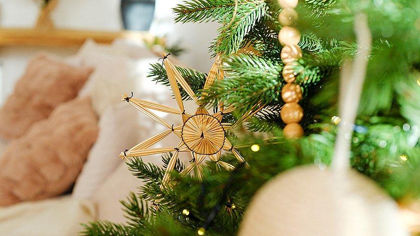 Strohstern Strohstern