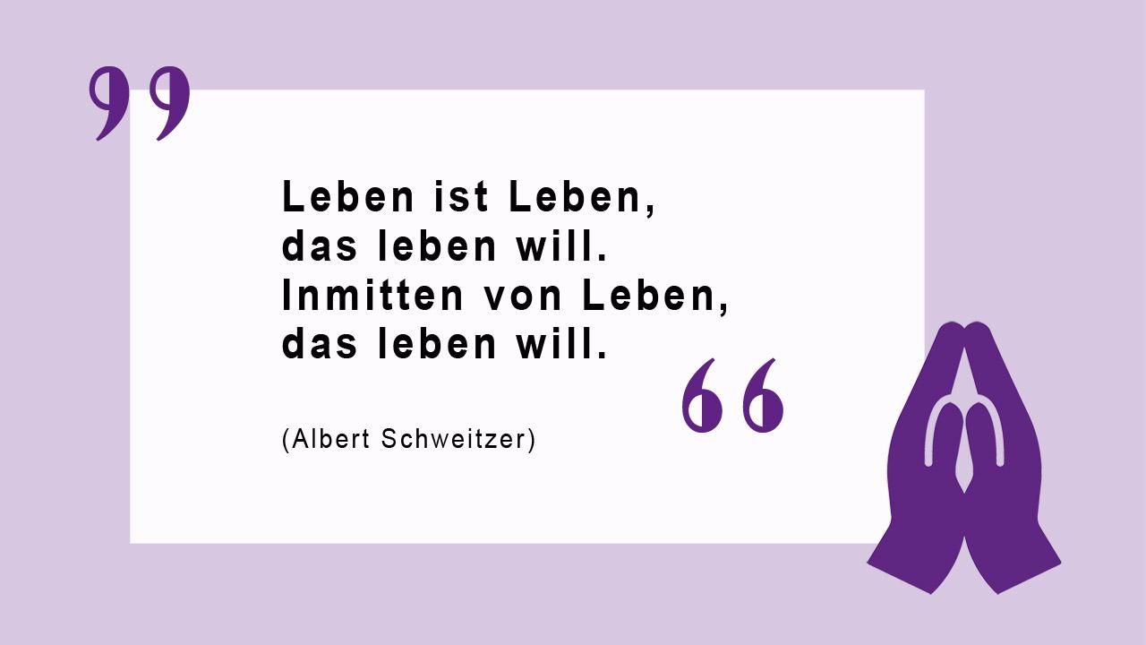 Glaubenszitat von Albert Schweitzer Leben ist Leben, das leben will. Inmitten von Leben, das leben will. (Albert Schweitzer)