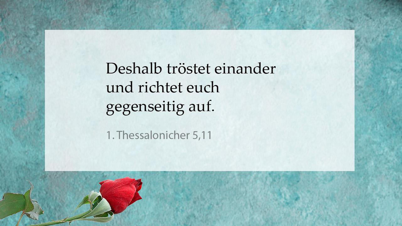 Tröstender Bibelspruch 1. Thessalonicher 5,11: Deshalb tröstet einander und richtet euch gegenseitig auf.