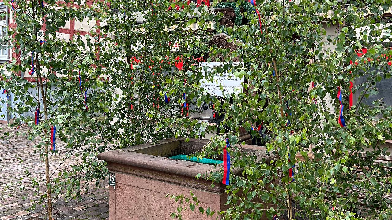 Birkengrün mit Bändern um einen Brunnen