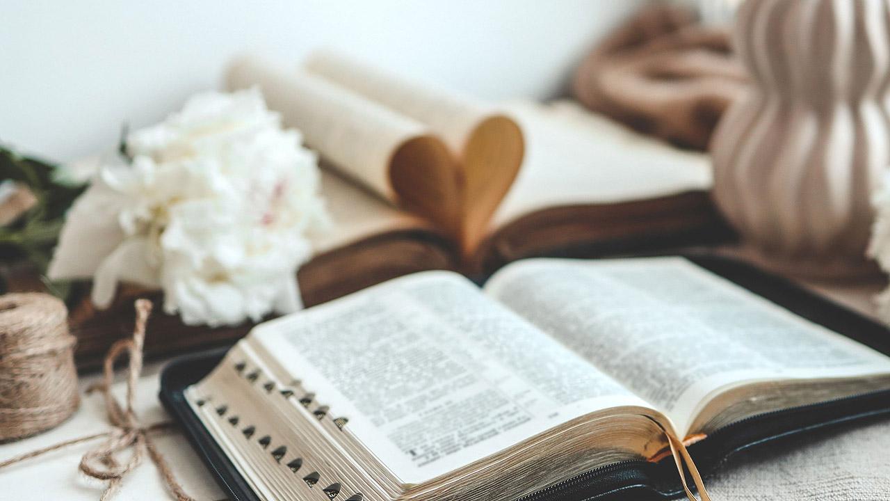 Aufgeschlagene Bibel und weiße Pfingstrosen