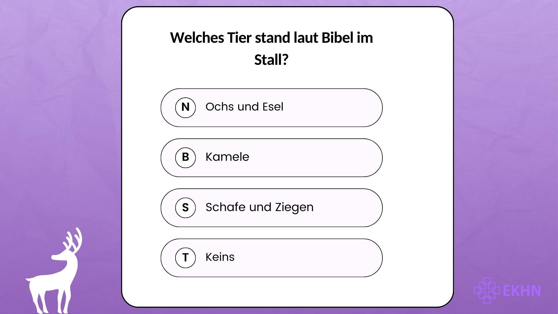Weihnachtsquiz Welches Tier stand laut Bibel im Stall?