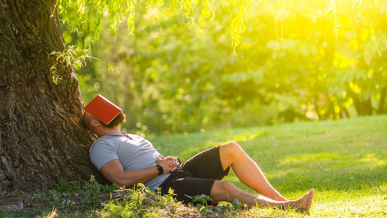 Pause unter einem Baum