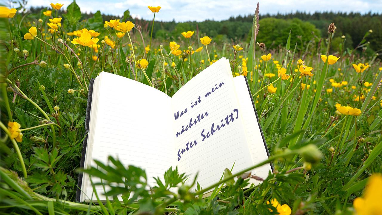 Ein offenes Heft, das im Gras liegt mit der Frage: Was ist mein nächster guter Schritt?