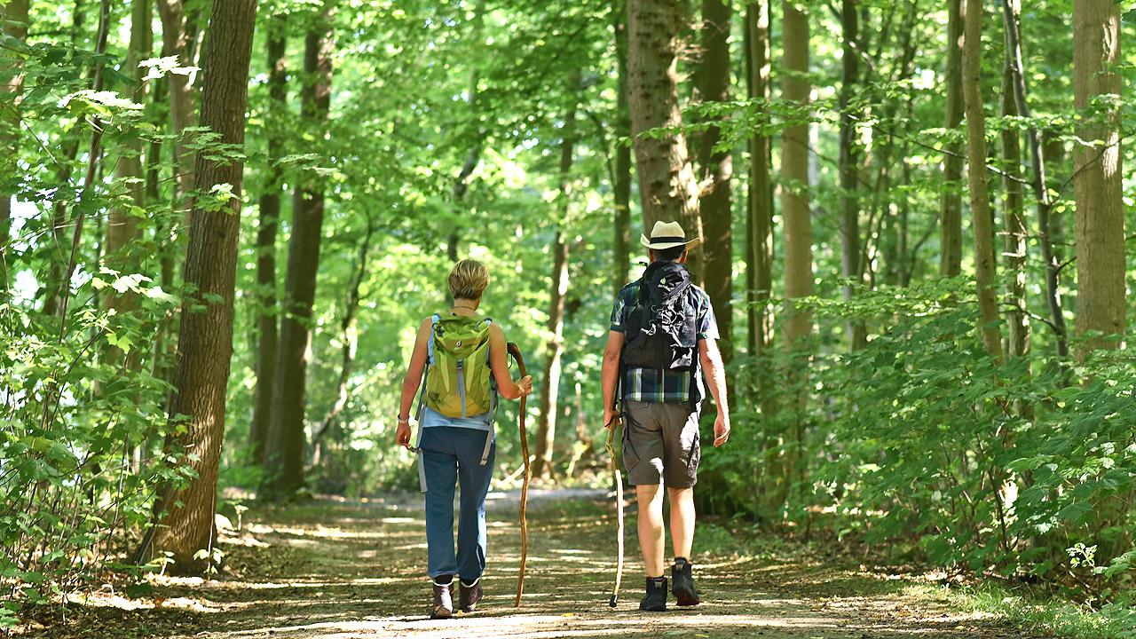 Ein Paar läuft durch den Wald